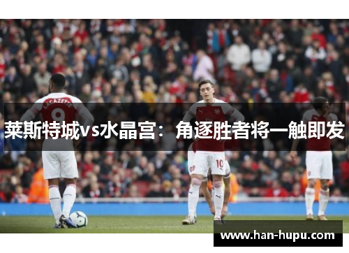 莱斯特城vs水晶宫:角逐胜者将一触即发 莱斯特城vs水晶宫:角逐胜者将一触即发